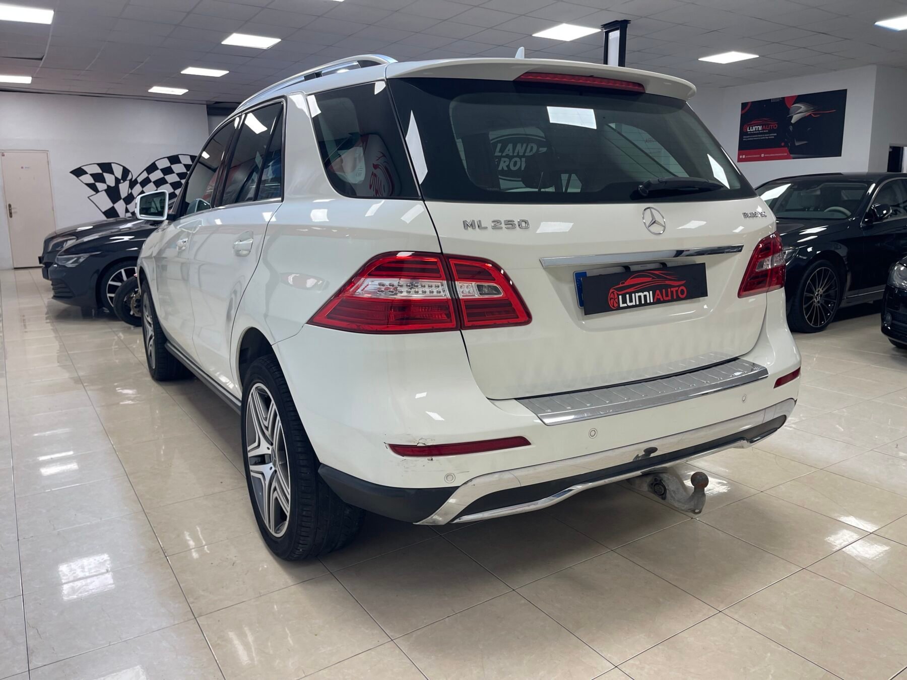 MERCEDES-BENZ ML 250 4 Matic