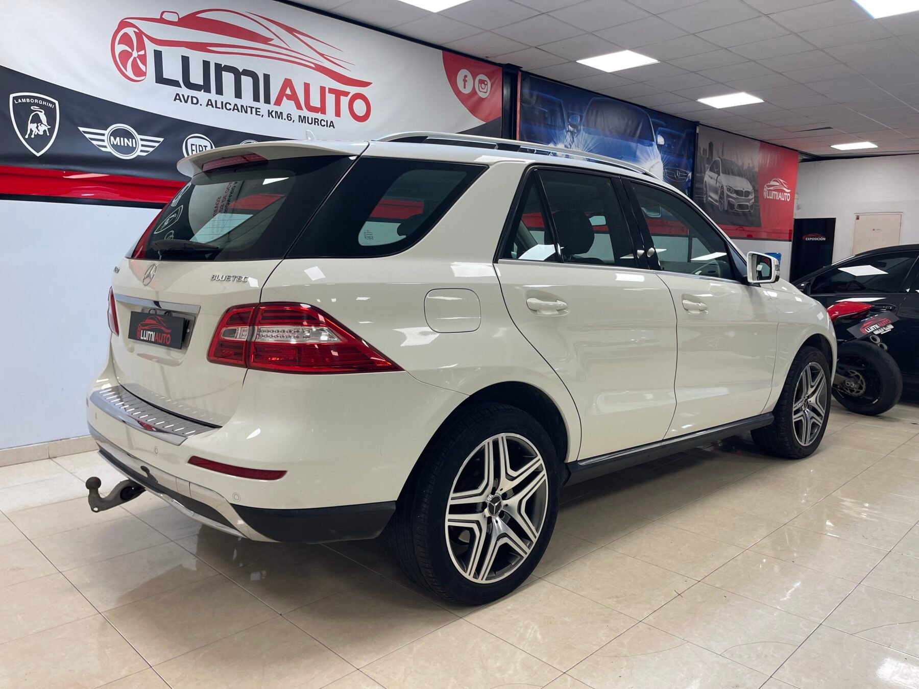 MERCEDES-BENZ ML 250 4 Matic